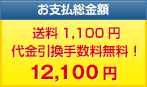 お支払総金額　送料1,100円 代金引換手数料無料！12,100円