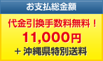 お支払総金額　代金引換手数料無料！11,000円 +沖縄特別送料